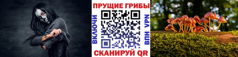 кракен как войти  Чебаркуль  Псилоцибиновые грибы ЛСД  продажа наркотиков 