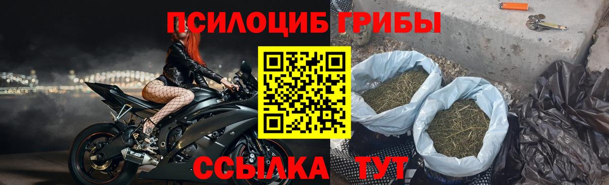 Псилоцибиновые грибы Cubensis  Вход с VPN  что такое   Чебаркуль 